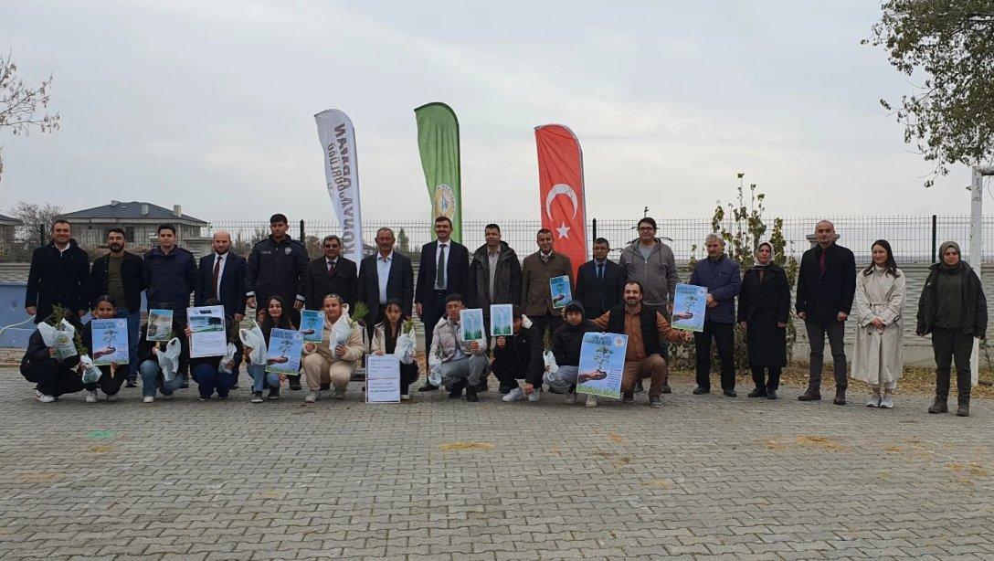 11 Kasım Milli Ağaçlandıma Günü